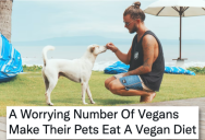 A Study Shows That a Lot of People Are Putting Their Pets on Vegan Diets