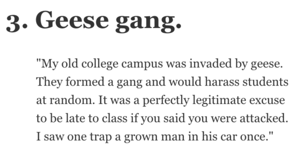 11 People Talk About When They Were Attacked...by Geese