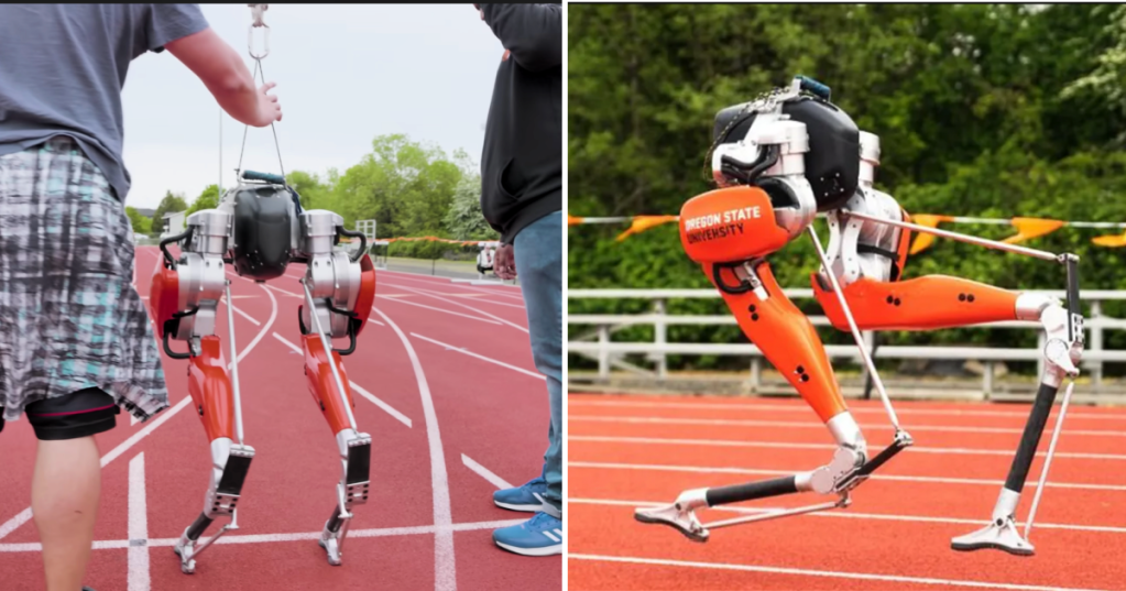 Robot Sets A World Record For A Hundred Meter Sprint - By A Landslide