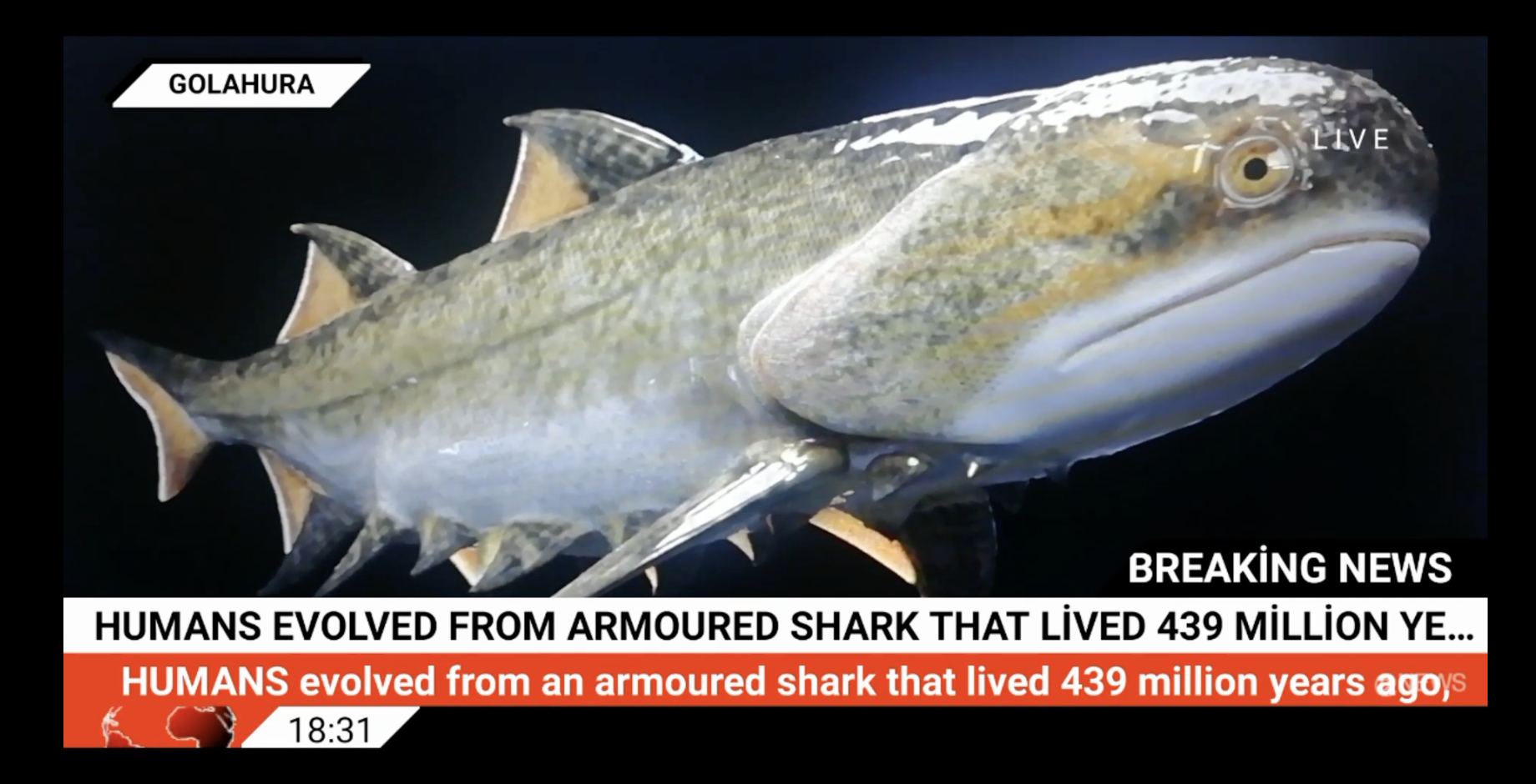 Screen Shot 2022 10 12 at 11.53.48 AM Our Earliest Jawed Ancestor Was A Spiky Shark