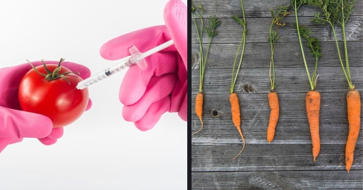 This Is Why GMOs Aren't as Scary as They Sound