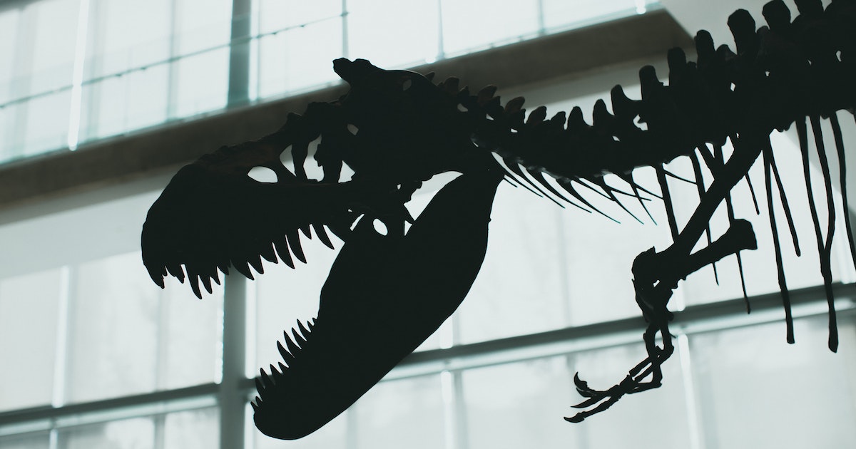 dinosaur fossil featured image Do Dinosaur Auctions Undermine Science?