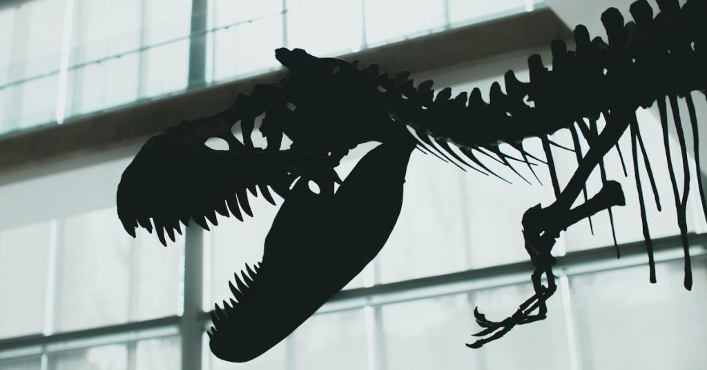 Do Dinosaur Auctions Undermine Science?