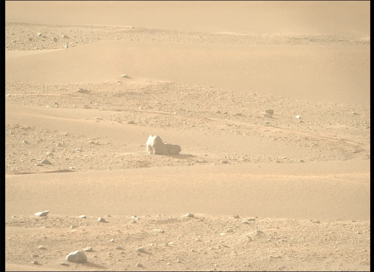  The Perseverance Rover Spies What Appears To Be A Cat On Mars