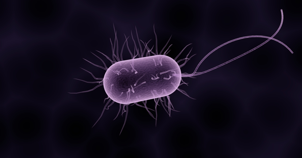 Bacteria cell add media Flushing Common Household Chemicals May Cause Antibiotic Resistance