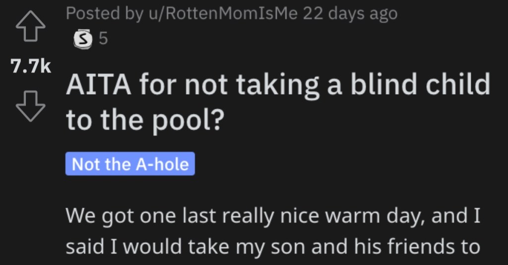 She Refused to Take a Blind Child to a Pool. Is She Wrong?