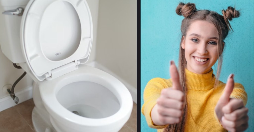6 Interesting Facts About Toilets