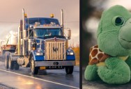 This Is Why Truck Drivers Attach Stuffed Animals to the Front of Their Vehicles
