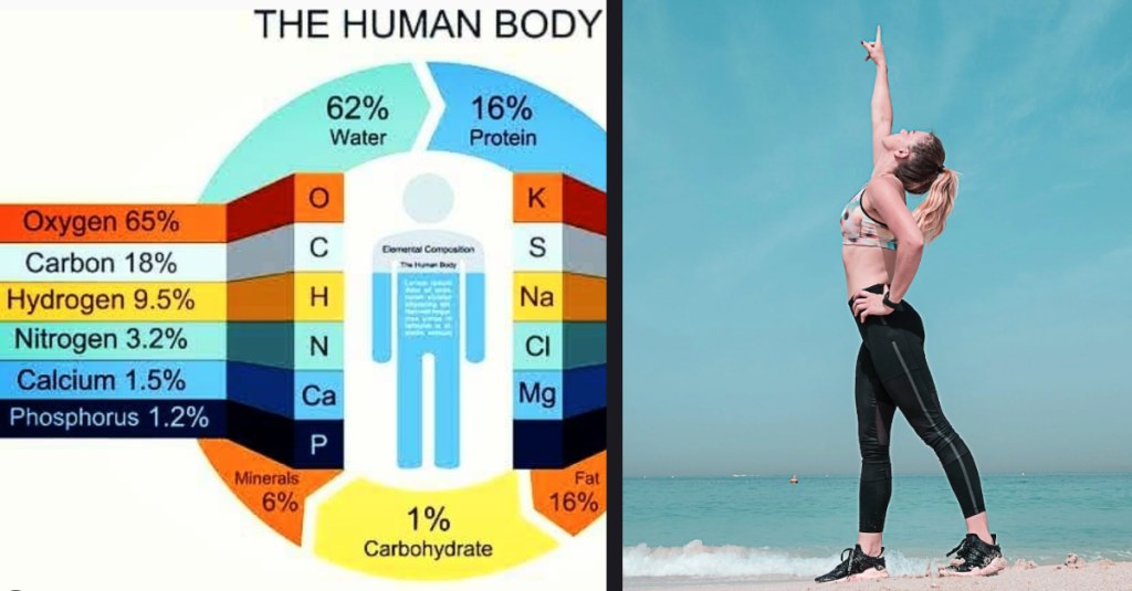 Learn About the Elements Make up the Human Body and How They Make Us Tick