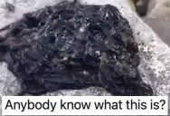People Are Confused by This This Mysterious, Squirming Black Venom Substance