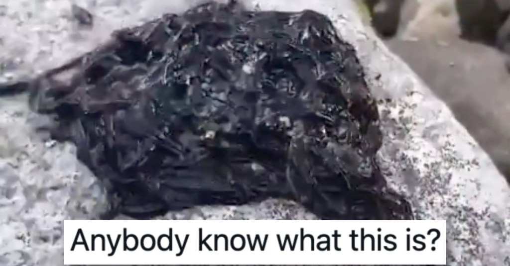 People Are Confused by This This Mysterious, Squirming Black Venom Substance