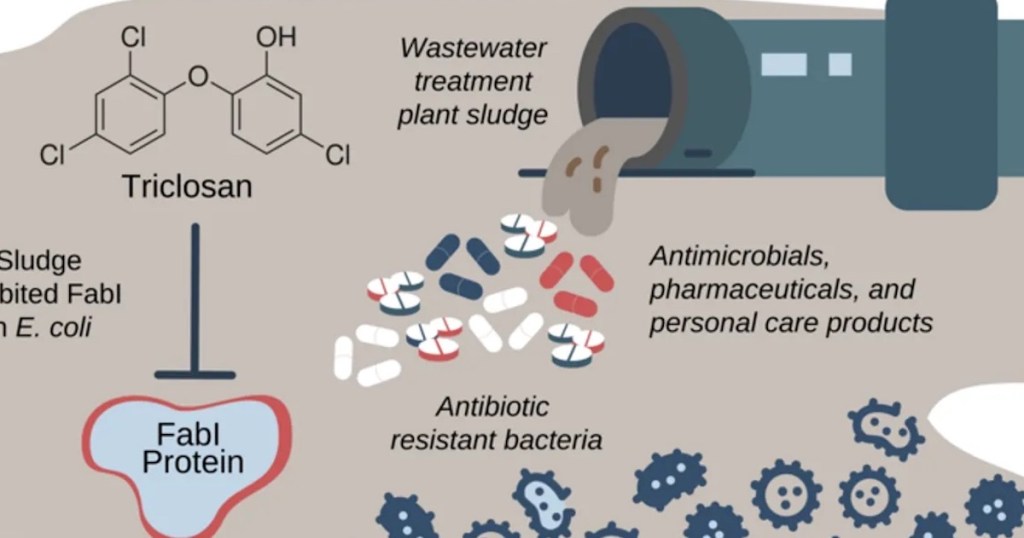 Flushing Common Household Chemicals May Cause Antibiotic Resistance