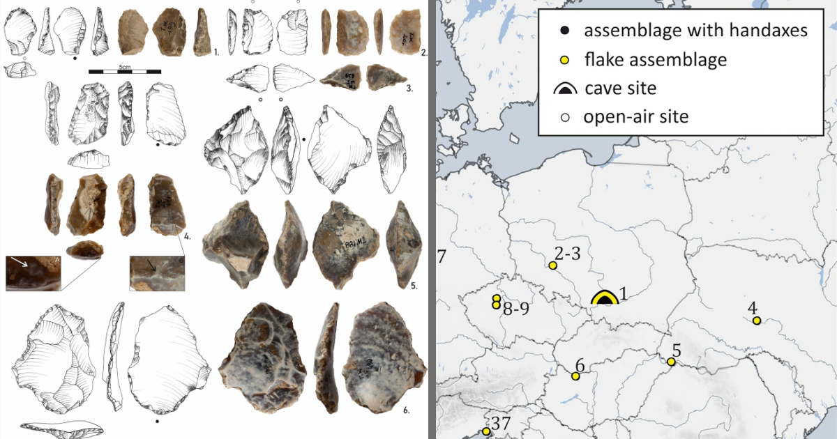 500,000-Year-Old Tools May Have Belonged To A Species Of Extinct Hominid