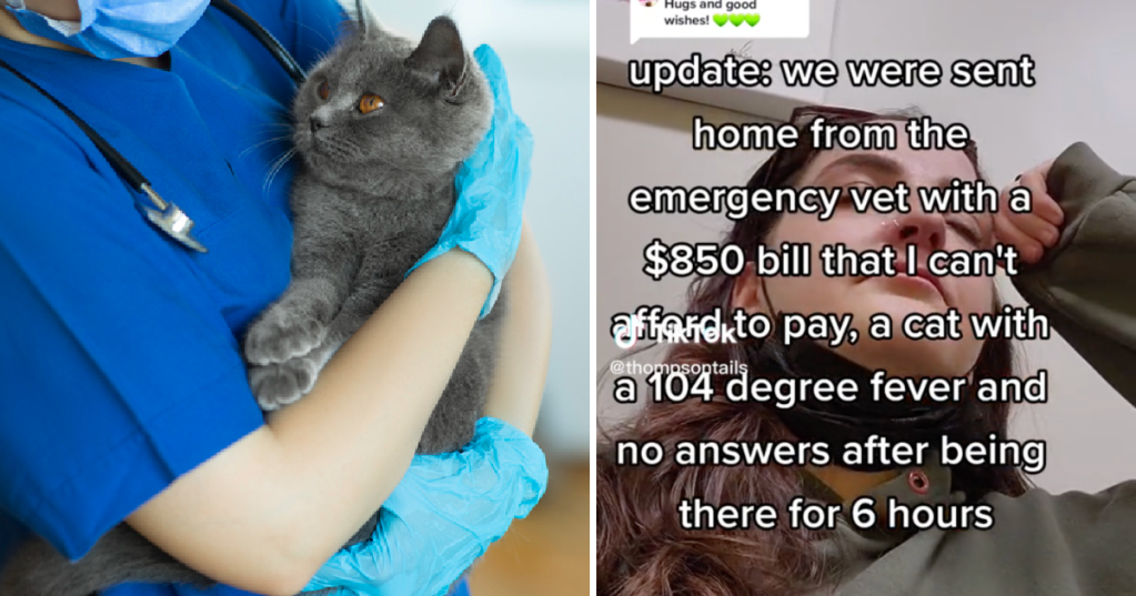 Woman Gets Sent Home With Sick Cat And Massive Vet Bill She Can't Afford. Is There Anything She Can Do?