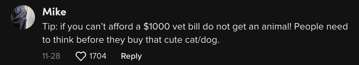 Woman Gets Sent Home With Sick Cat And Massive Vet Bill She Cant