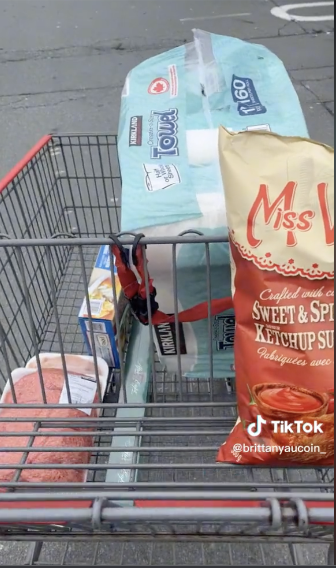 Screen Shot 2022 12 20 at 11.07.54 PM Costco Shopper Shows How Expensive Groceries Have Become in Canada