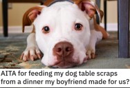 Was She Wrong to Feed the Dog the Food Her Boyfriend Made for Her? Here’s What People Said.