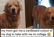 Tweets About Dogs That Will Make You Howl
