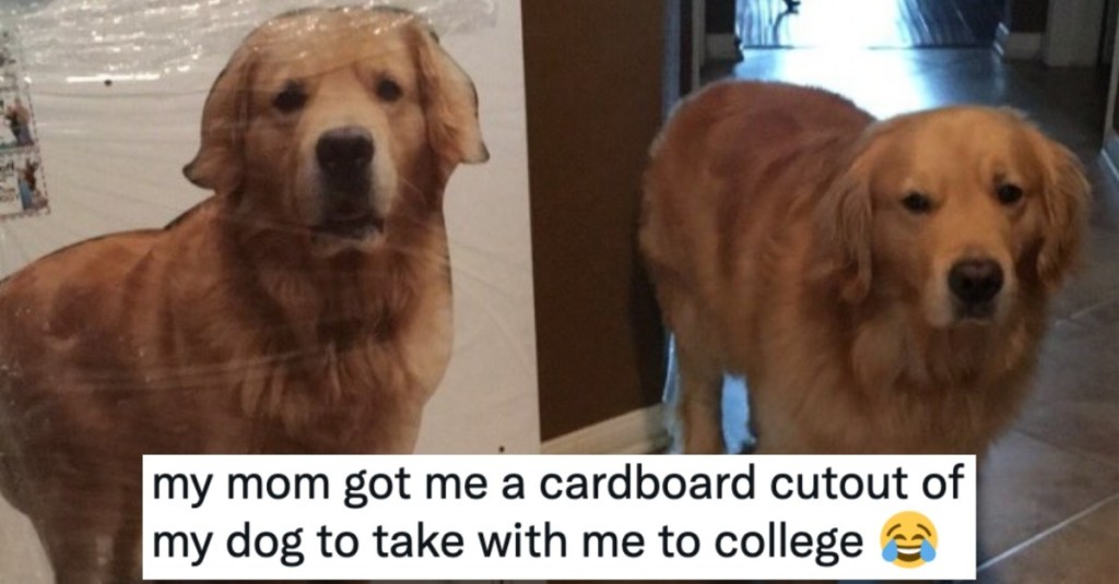 Tweets About Dogs That Will Make You Howl