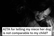 Is She Wrong for Telling Her Niece That Her Dog Isn’t Comparable to Her Daughter? People Shared Their Thoughts.