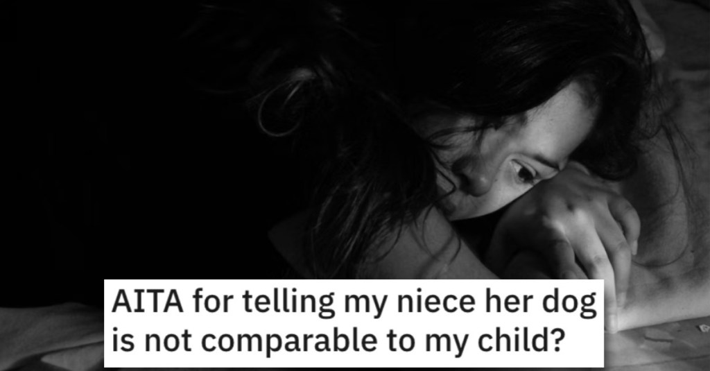 Is She Wrong for Telling Her Niece That Her Dog Isn’t Comparable to Her Daughter? People Shared Their Thoughts.
