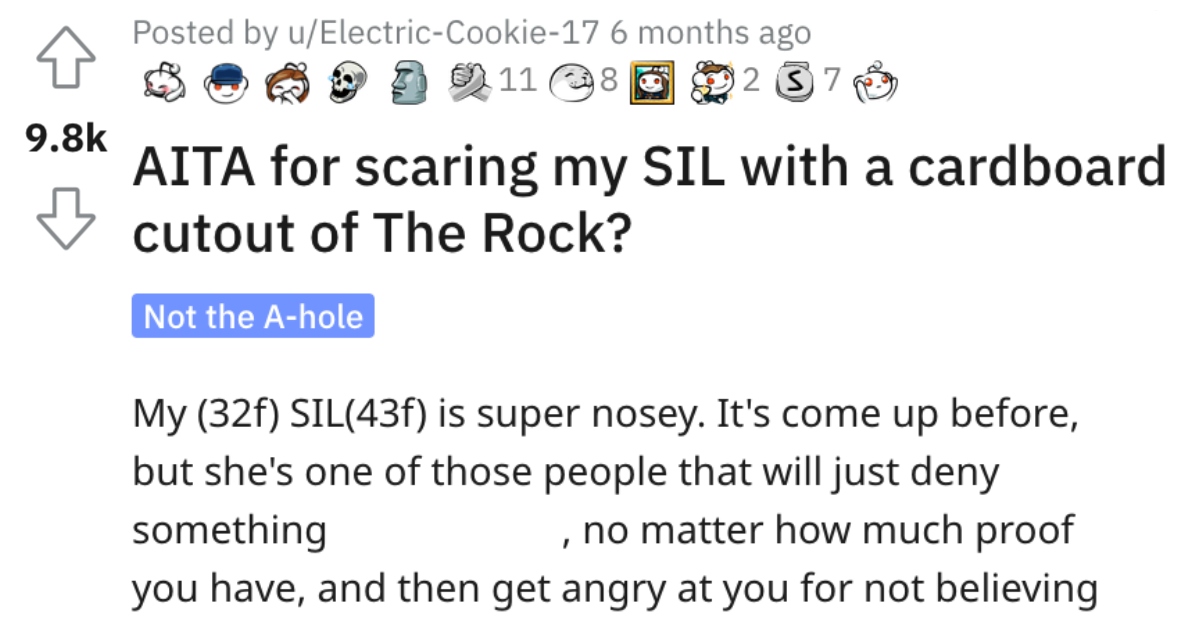 Woman Wants to Know if She's a Jerk for Frightening Her Sister-In-Law With a Cardboard Cutout of The Rock