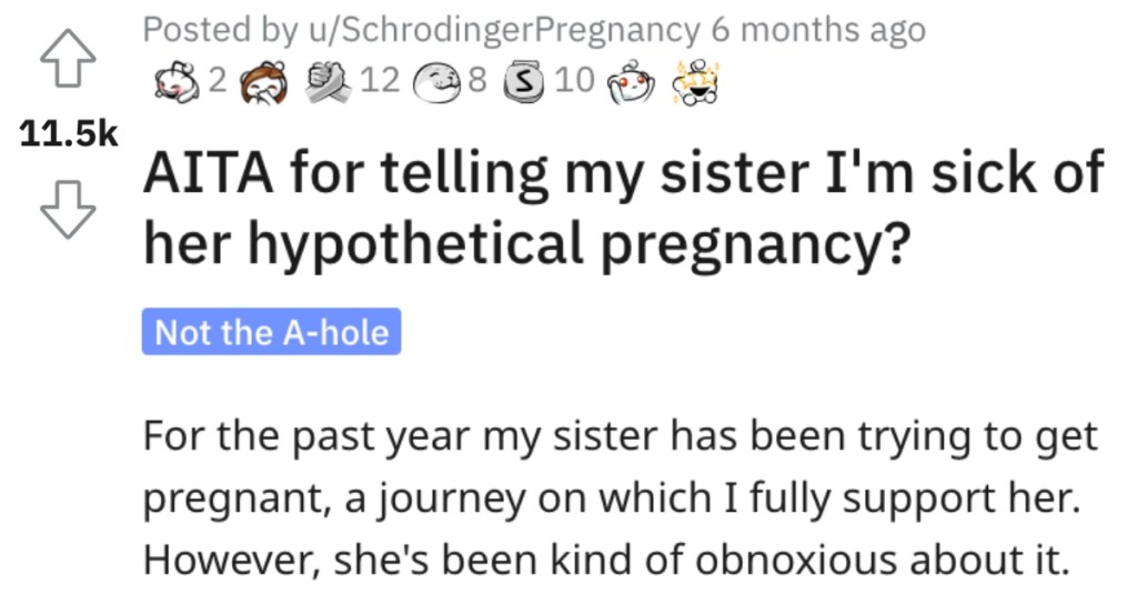 Woman Asks if She’s Wrong for Telling Her Sister That She’s Sick of Hearing About Her Hypothetical Pregnancy?