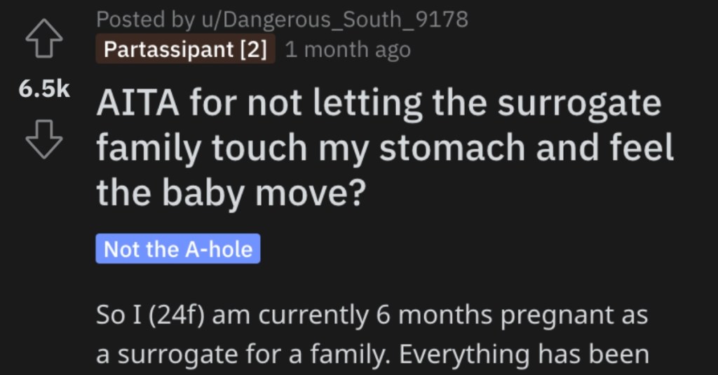 Is She Wrong for Not Letting the Surrogate Family Touch Her Stomach to Help the Baby Move? People Shared Their Thoughts.