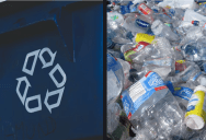 Studies Suggest That Recycling Plastic Is a Myth