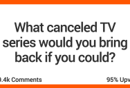 17 People Muse On The Television Show They Would Bring Back If They Could