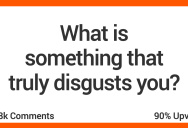 19 People Share The Things That Truly Disgust Them