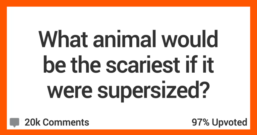 21 People Weigh In On What Animal Would Be The Scariest If It Was The Size Of A Whale