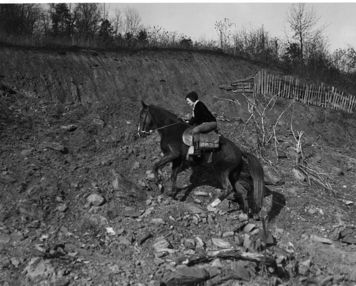 a365eaf68662c8aa7c Horse Librarian Photo Album Package Photo2 Librarians who rode on horseback across rough terrain to deliver books