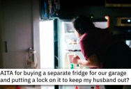 Woman Buys Herself A Fridge To Lock Up Her Snacks, Wonders Whether All Food Is Supposed To Be Shared Food In A Marriage
