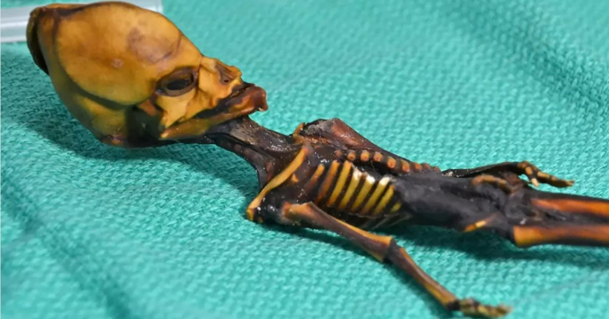 Atacama Skeleton featured image Controversy Continues to Swirl Around the Atacama Skeleton