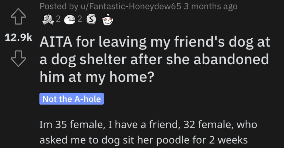 Woman Wants to Know if She's Wrong for Leaving Her Friend's Dog at a Shelter