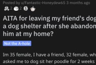Woman Wants to Know if She’s Wrong for Leaving Her Friend’s Dog at a Shelter