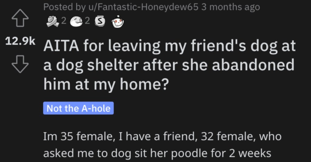 Woman Wants to Know if She’s Wrong for Leaving Her Friend’s Dog at a Shelter