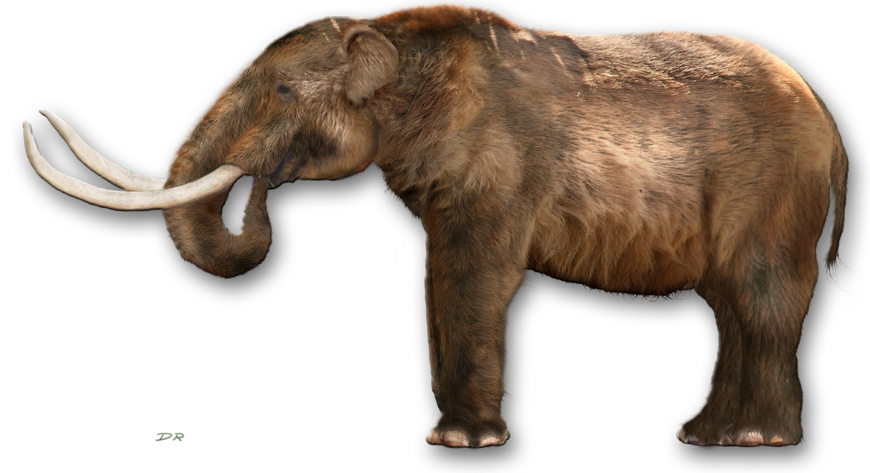 BlankMastodon Want To See A Live Woolly Mammoth? Scientists Say Theyll Have One In Four Short Years