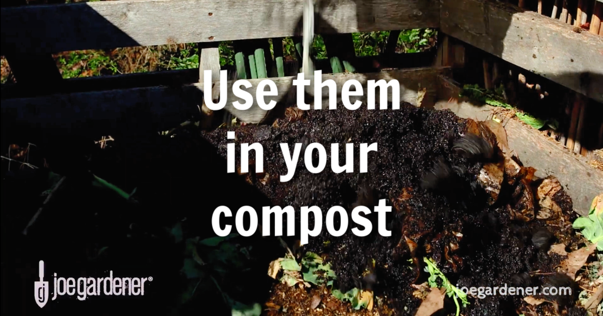 6 Cool Ways To Repurpose Coffee Grounds
