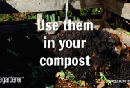 6 Cool Ways To Repurpose Coffee Grounds