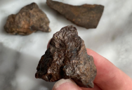 Here’s How You Can Tell Whether It’s a Rock Or Meteorite?