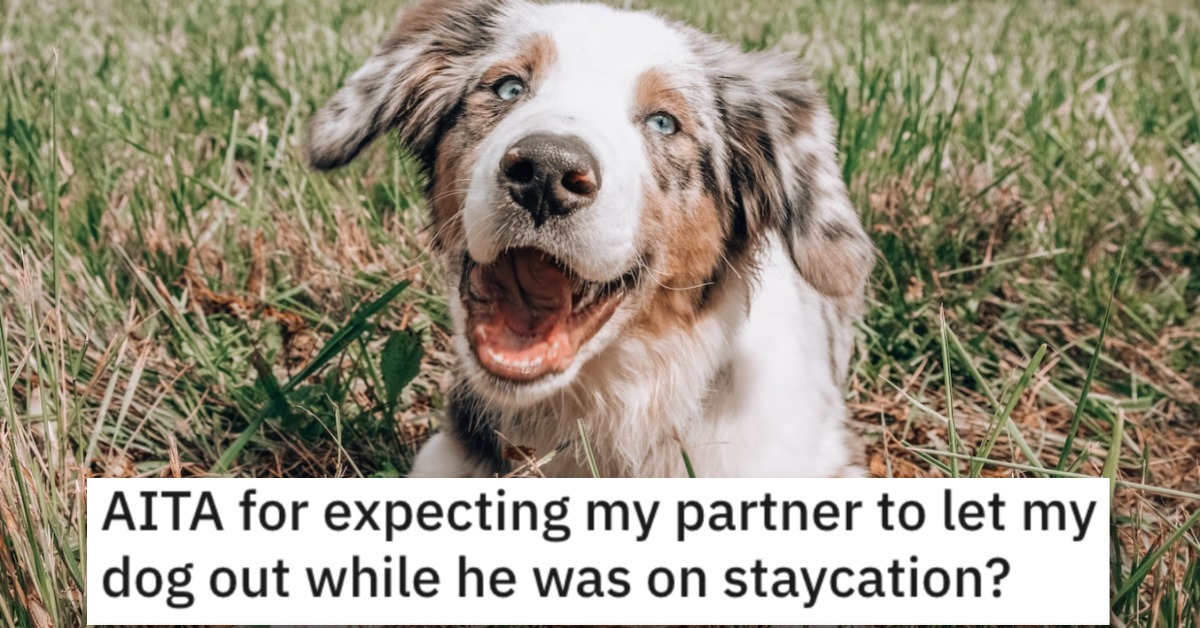 She Expects Her Partner To Let Her Dog Out While He's on Staycation. Is She Wrong?