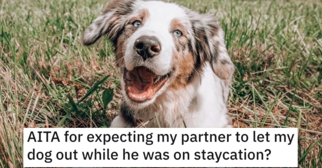 She Expects Her Partner To Let Her Dog Out While He’s on Staycation. Is She Wrong?