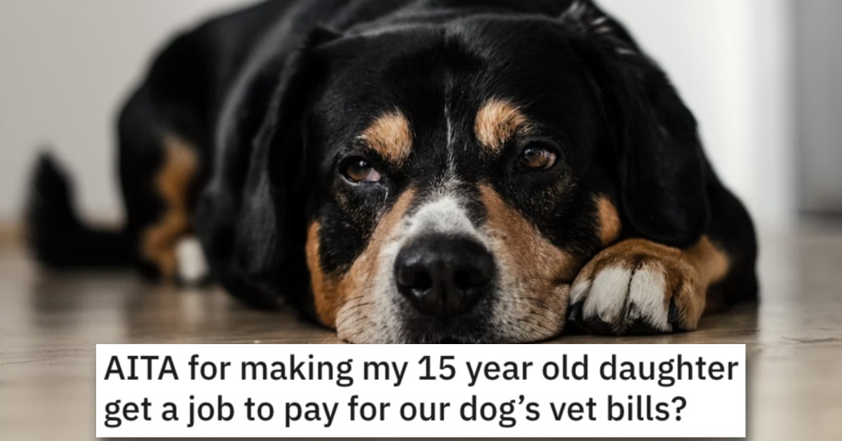 Is She Wrong for Making Her Daughter Get a Job to Help Pay for the Dog's Vet Bills? People Responded.