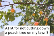 Is He Wrong for Not Cutting Down a Peach Tree in His Yard? People Shared Their Thoughts.