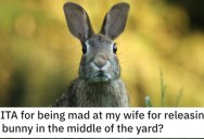 He’s Mad at His Wife for Releasing a Bunny in the Middle of Their Yard. Is He Wrong?