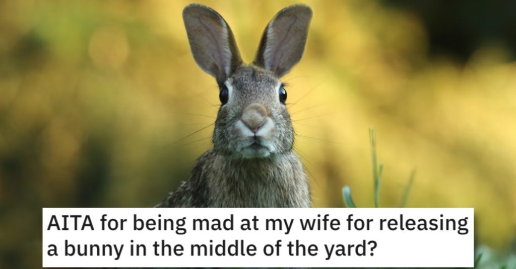 He’s Mad at His Wife for Releasing a Bunny in the Middle of Their Yard. Is He Wrong?