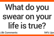 What Do You Swear on Your Life Is True? Here’s What People Had to Say.