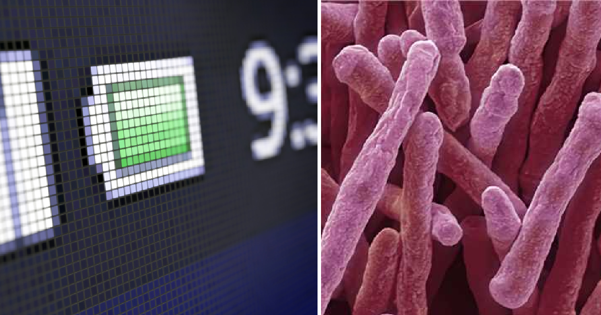 Learn About The Enzyme That Can Turn Air Into Electricity